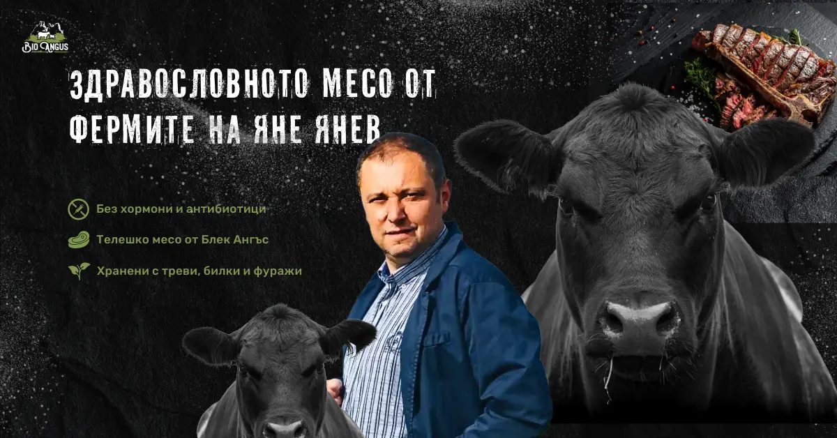 Искаш ли незабравимо лято? Фермите на BioAngus те очакват!