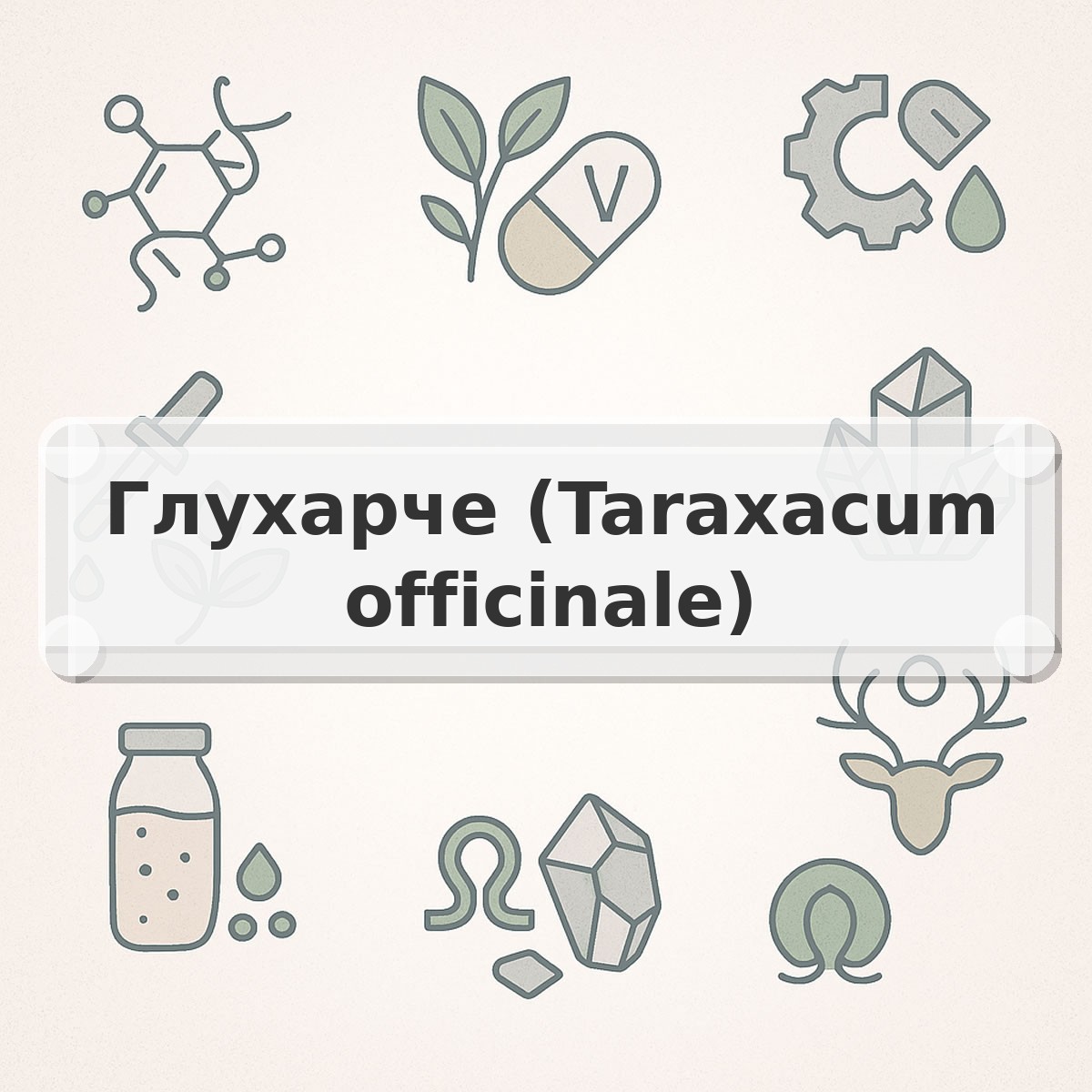 Глухарче (Taraxacum officinale)