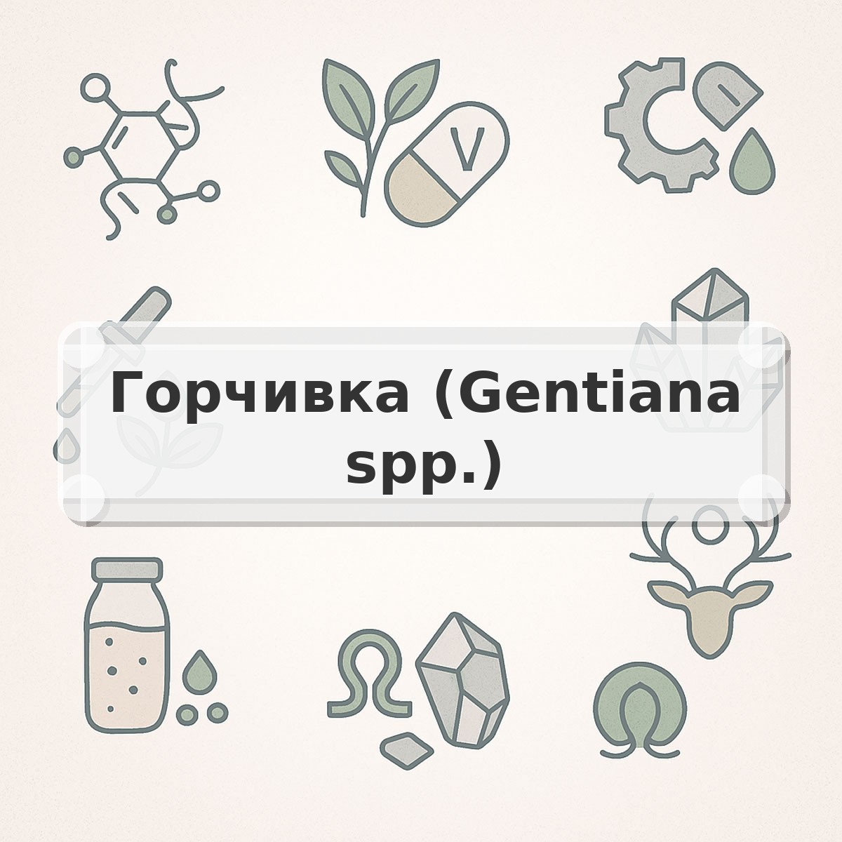 Горчивка (Gentiana spp.)