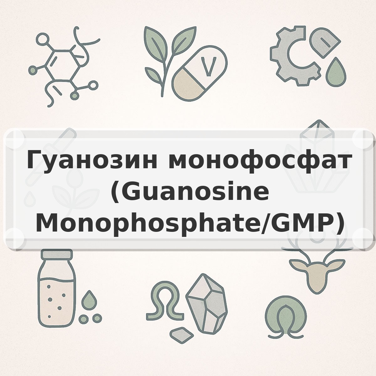 Гуанозин монофосфат (Guanosine Monophosphate/GMP)
