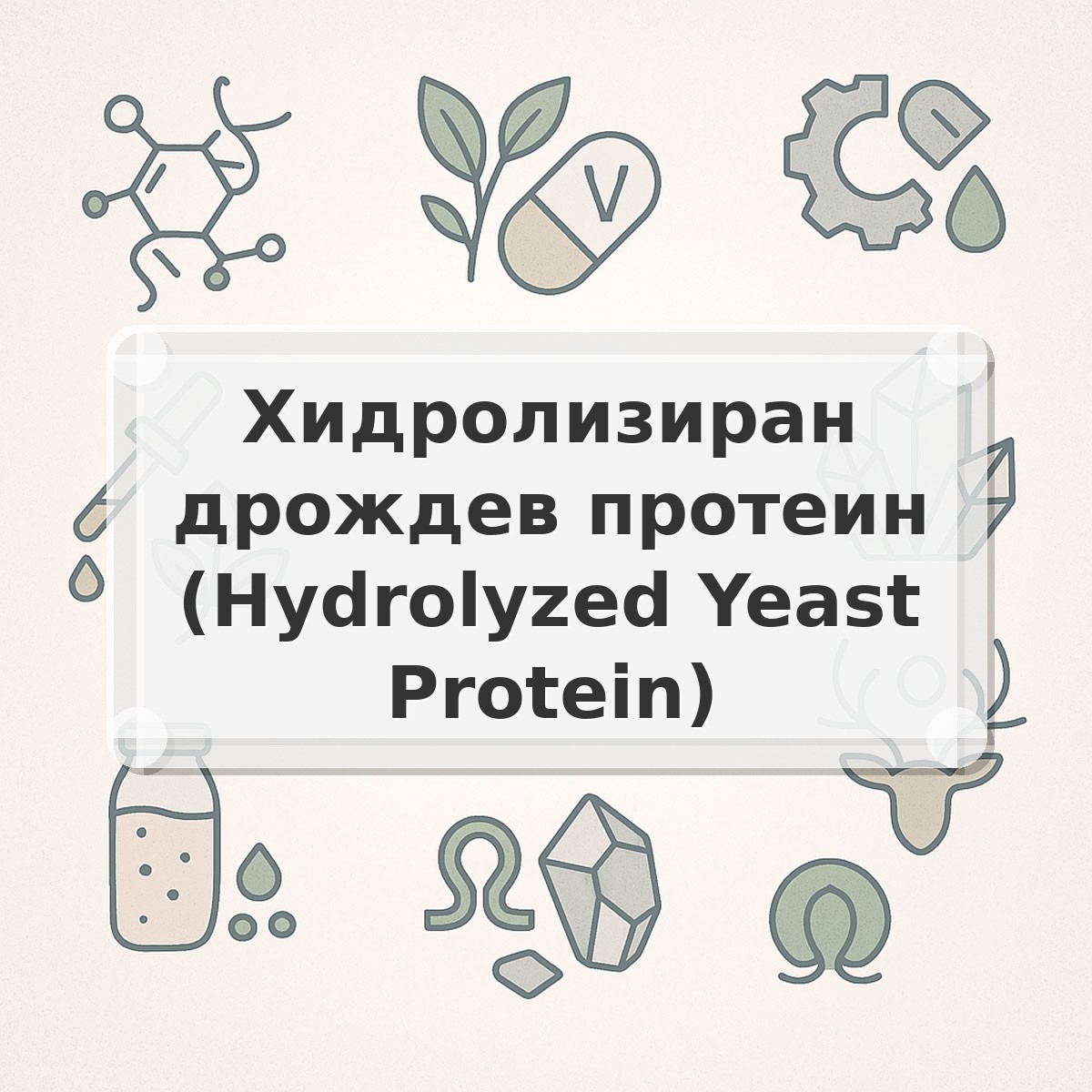 Хидролизиран дрождев протеин (Hydrolyzed Yeast Protein)