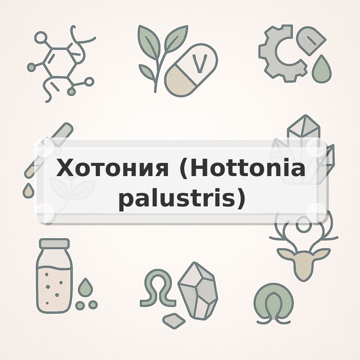 Хотония (Hottonia palustris)