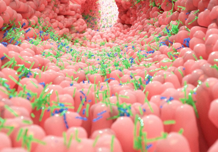 Храна за Лениви черва