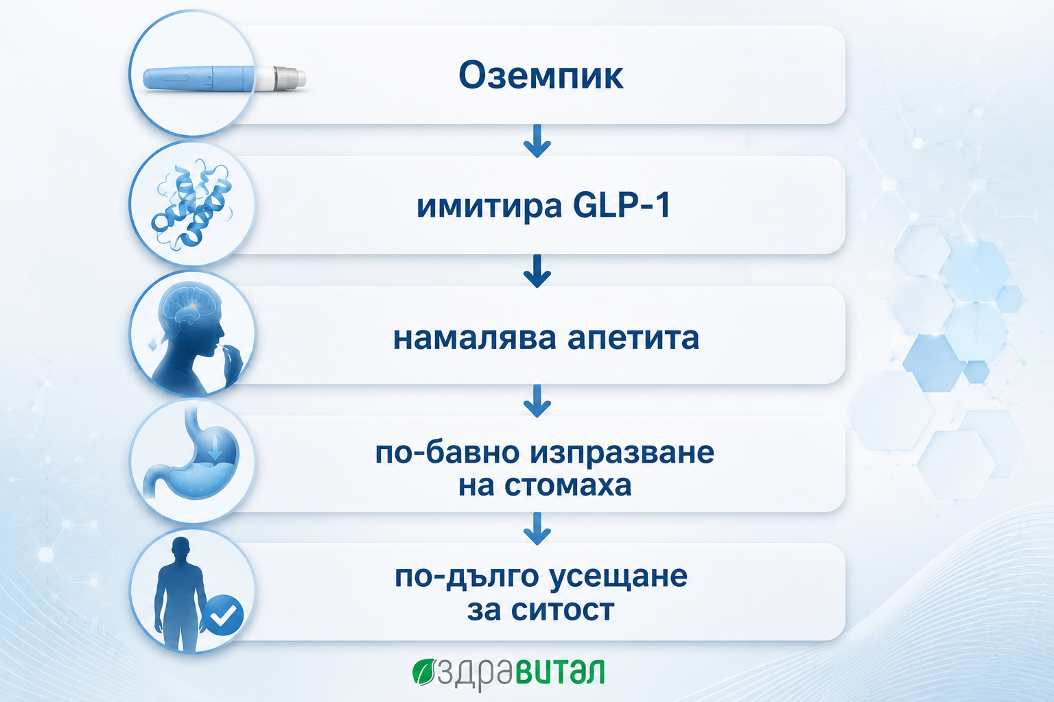 Инфографика за действието на Оземпик – имитира GLP-1, намалява апетита и удължава усещането за ситост.