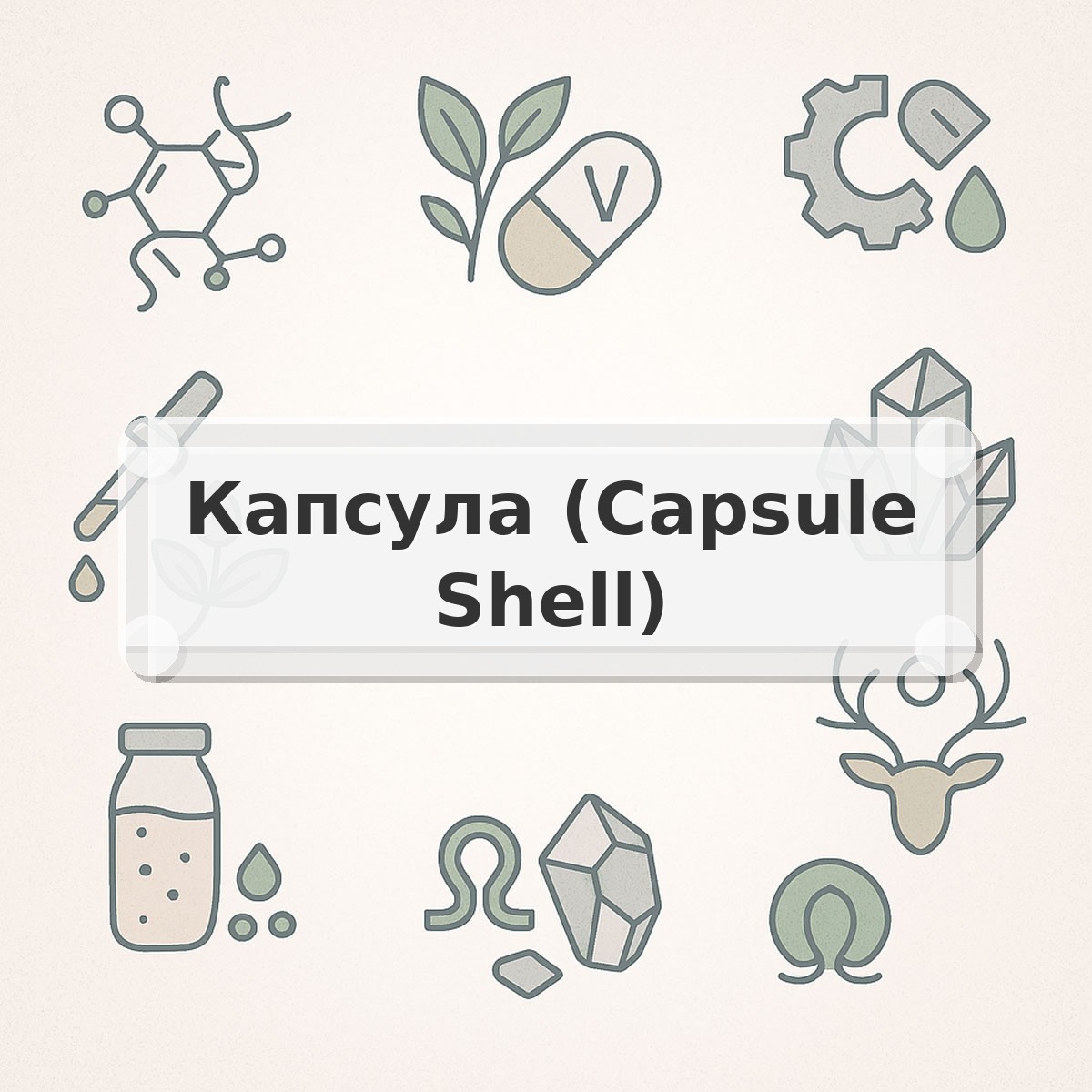 Капсула (Capsule Shell)