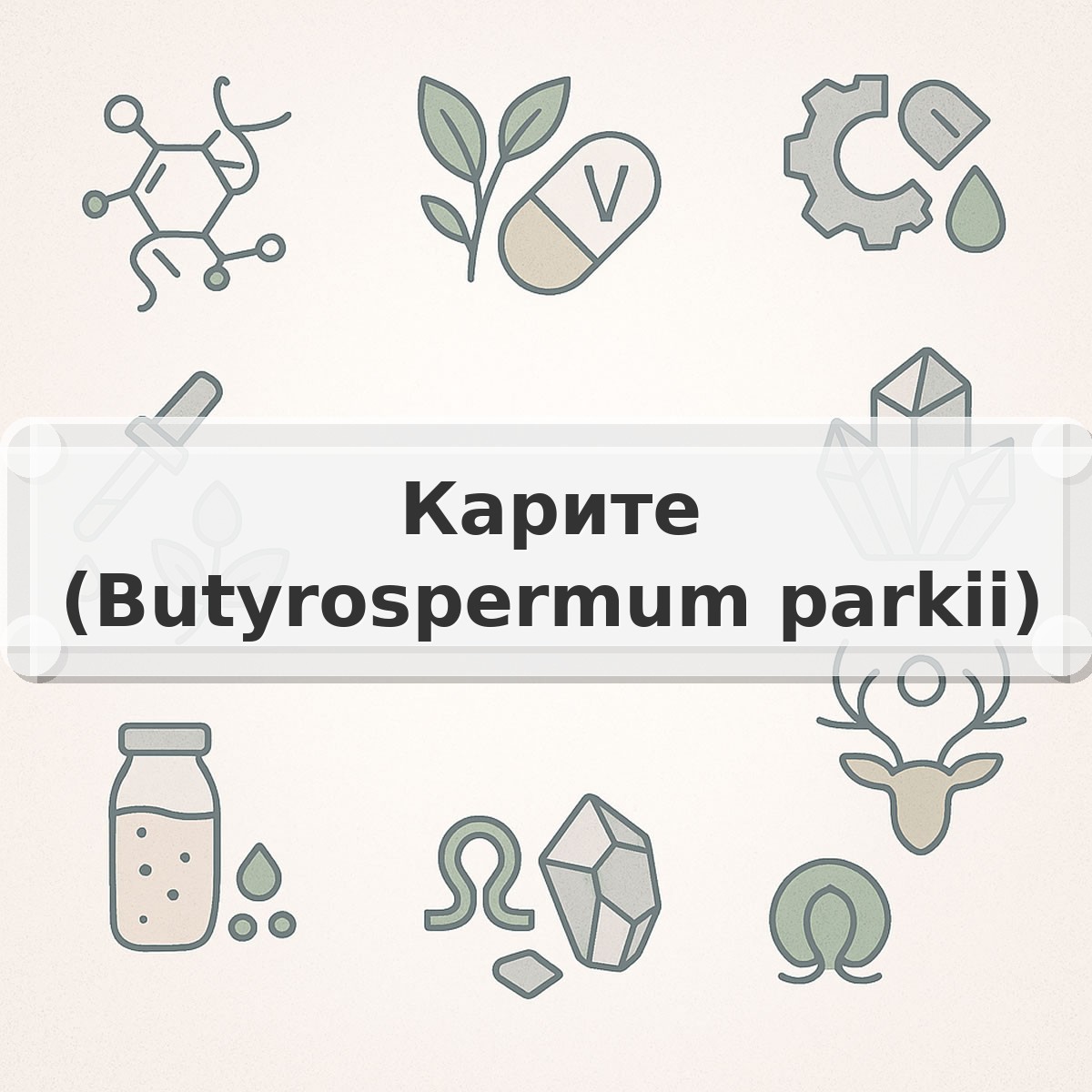 Карите (Butyrospermum parkii)
