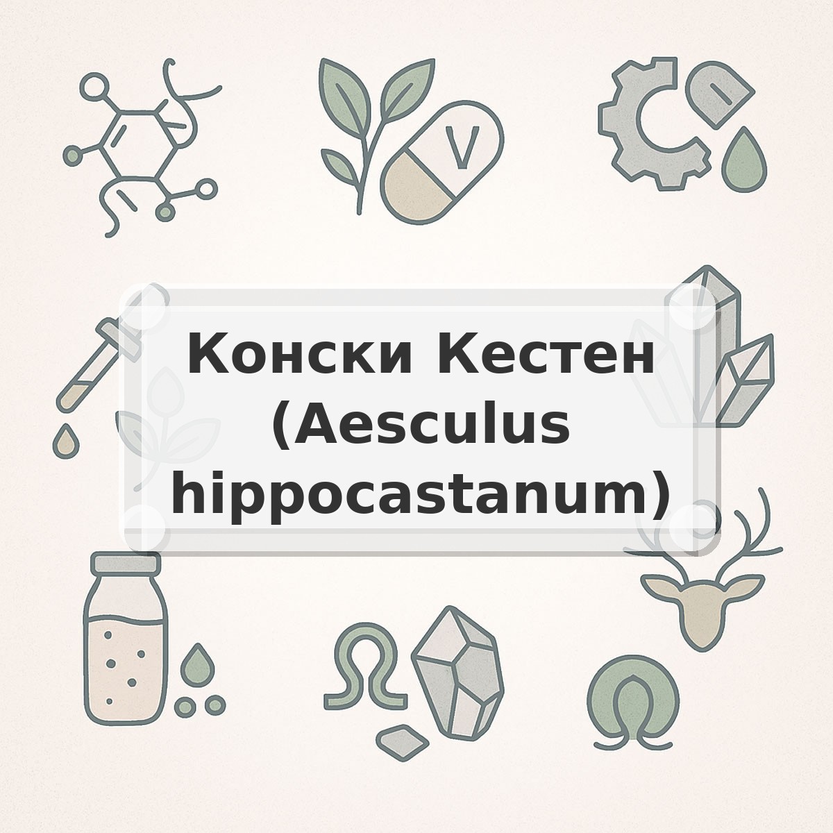 Конски Кестен (Aesculus hippocastanum)