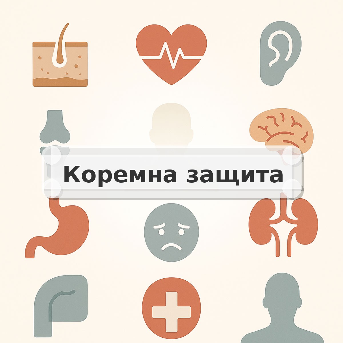 Коремна защита