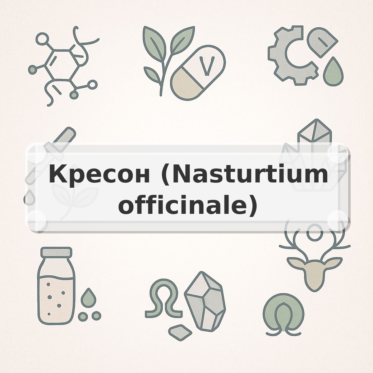 Кресон (Nasturtium officinale)