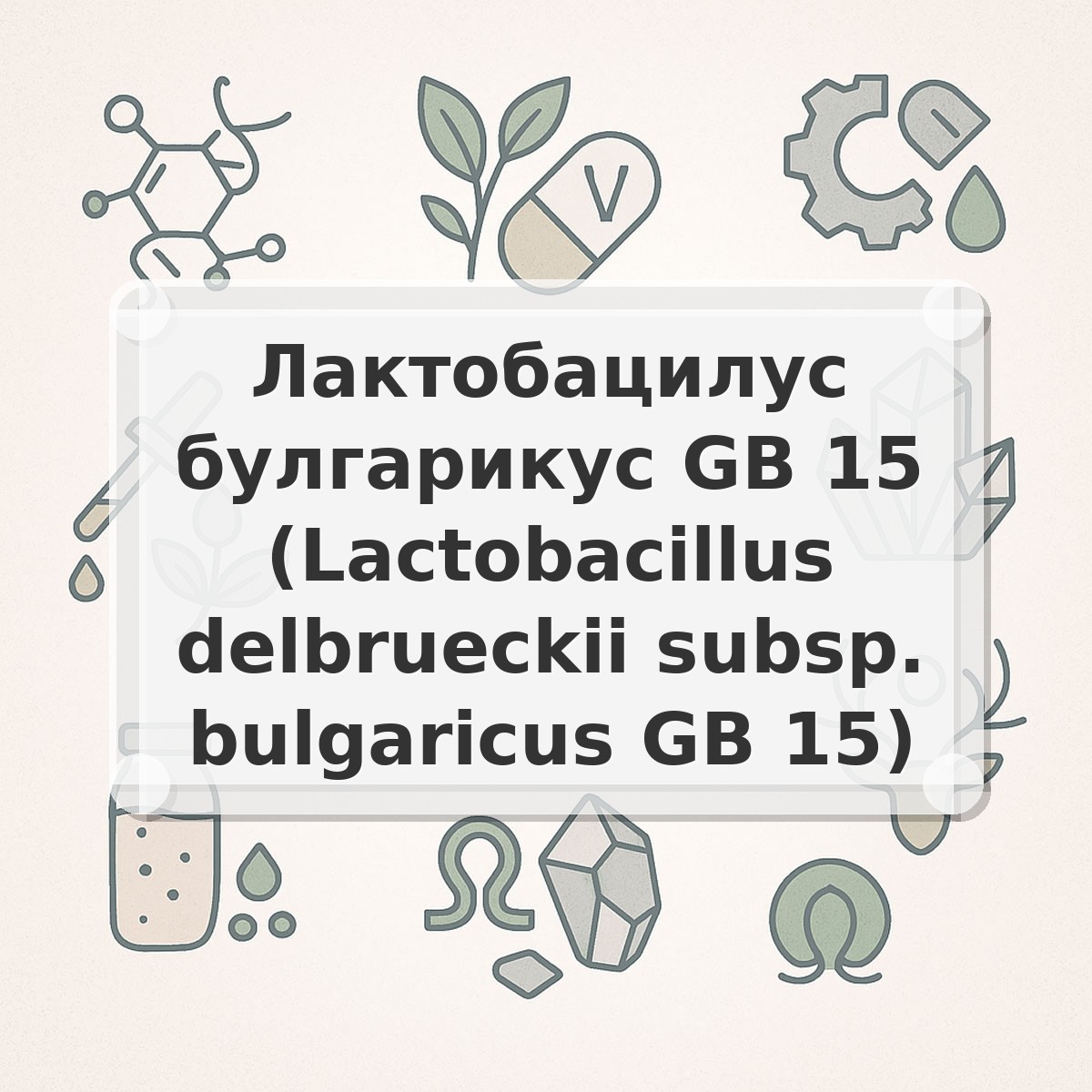 Лактобацилус булгарикус GB 15 (Lactobacillus delbrueckii subsp. bulgaricus GB 15)