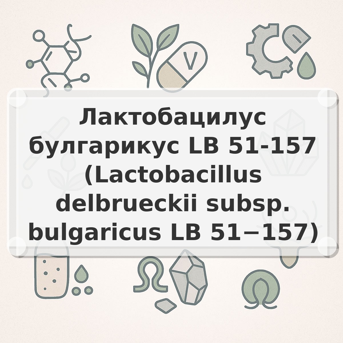 Лактобацилус булгарикус LB 51-157 (Lactobacillus delbrueckii subsp. bulgaricus LB 51−157)