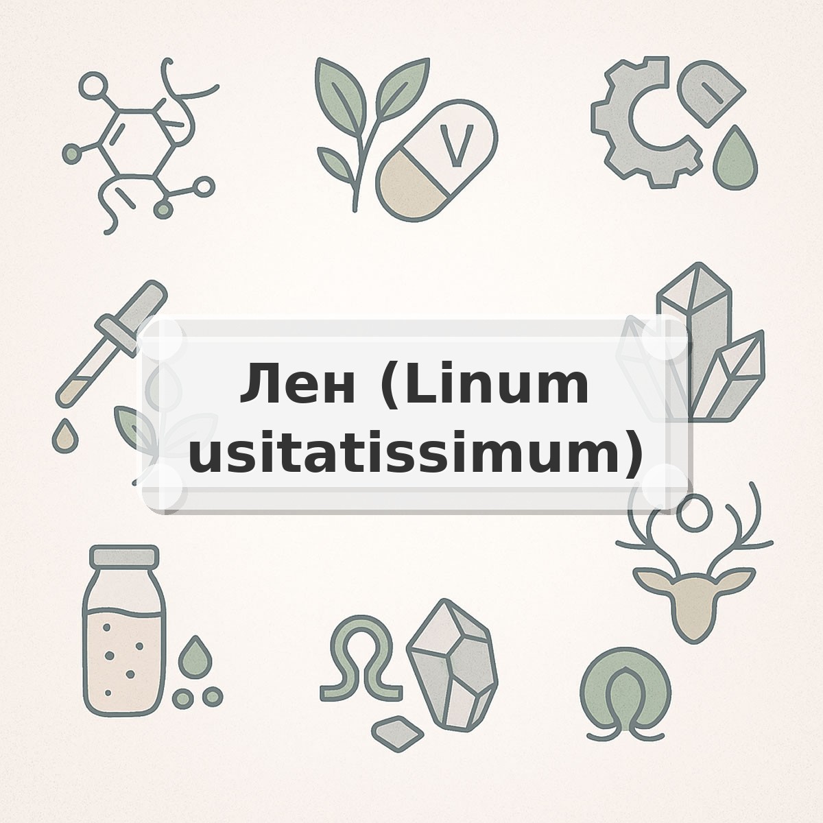 Лен (Linum usitatissimum)