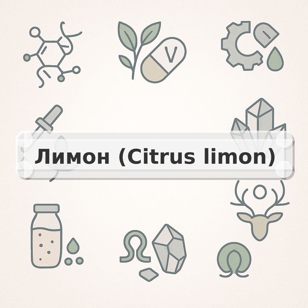 Лимон (Citrus limon)