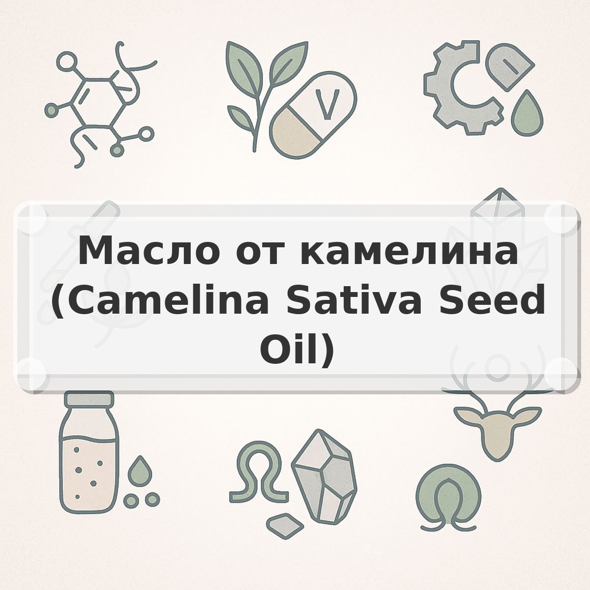 Масло от камелина (Camelina Sativa Seed Oil)