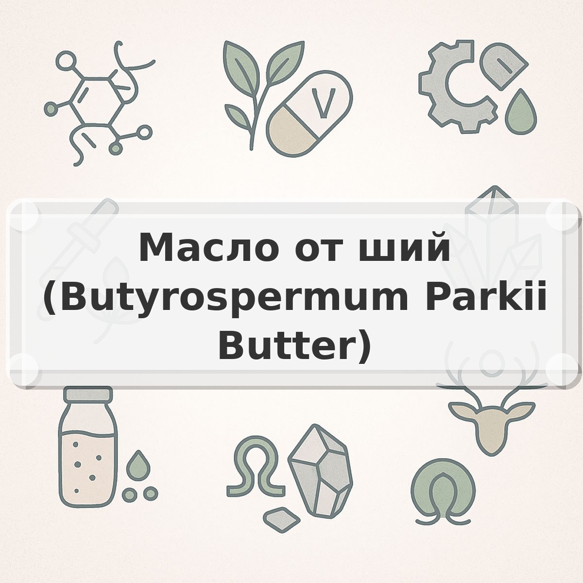 Масло от ший (Butyrospermum Parkii Butter)