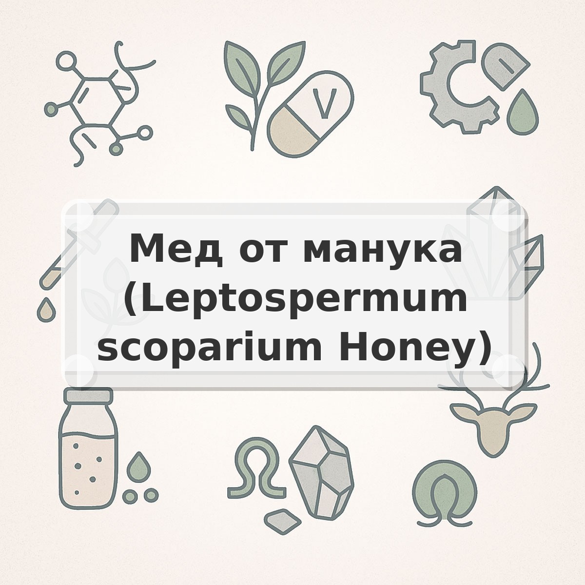 Мед от манука (Leptospermum scoparium Honey)