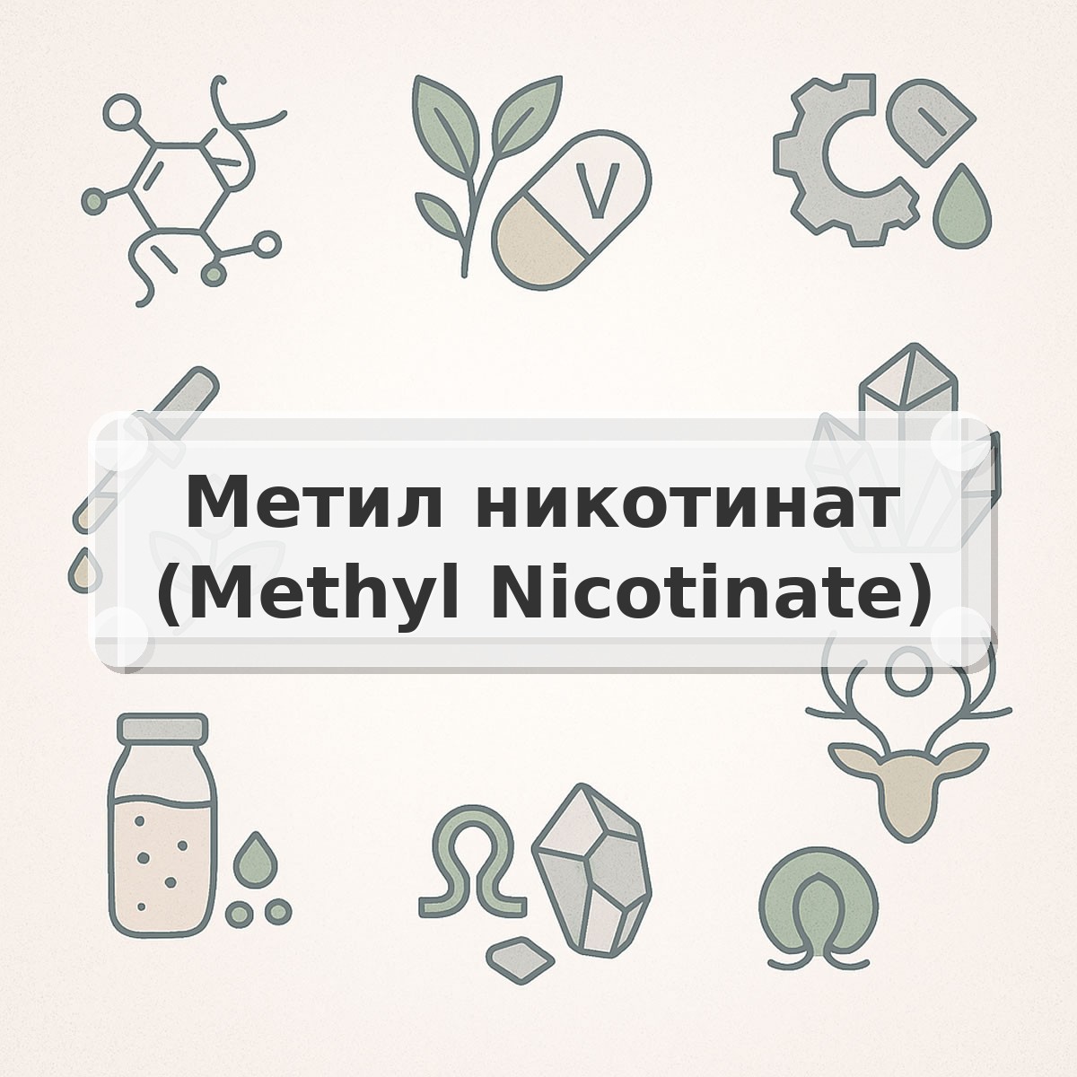 Метил никотинат (Methyl Nicotinate)