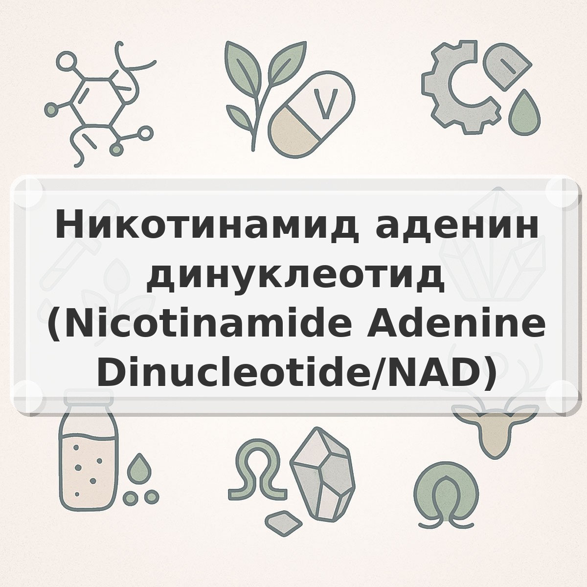 Никотинамид аденин динуклеотид (Nicotinamide Adenine Dinucleotide/NAD)