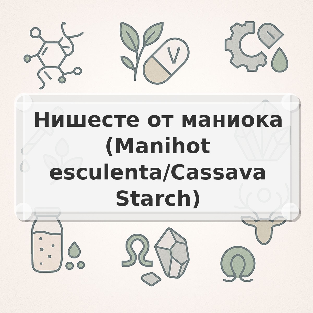 Нишесте от маниока (Manihot esculenta/Cassava Starch)