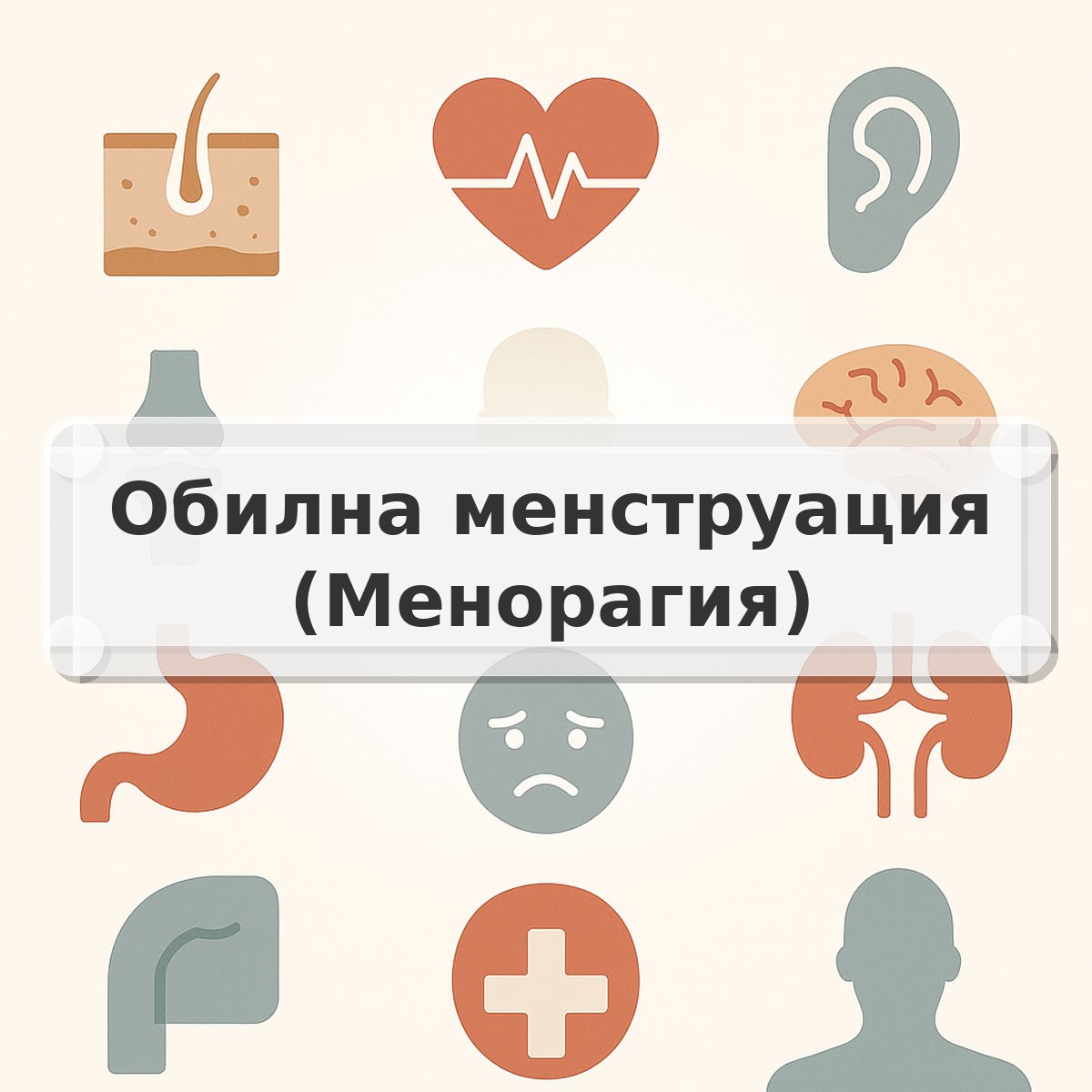 Обилна менструация (Менорагия)