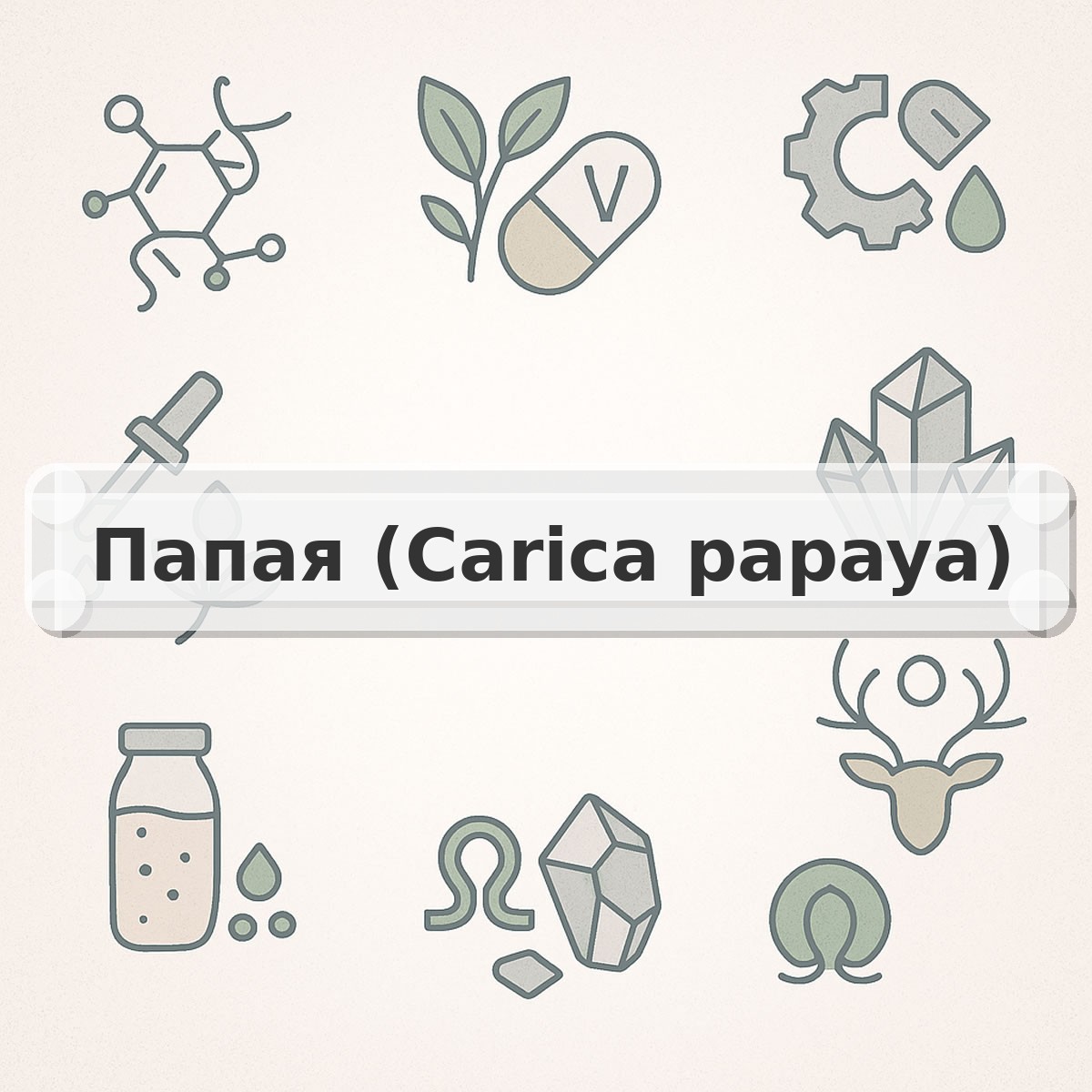 Папая (Carica papaya)