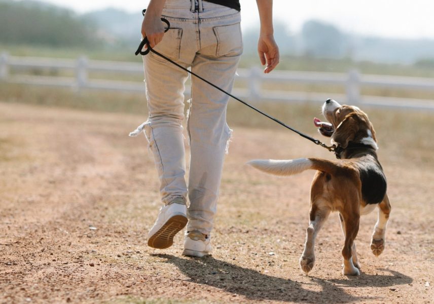 6 Упражнения за Болки в Долната част на гърба 2 6 Упражнения за Болки в Долната част на гърба 2
