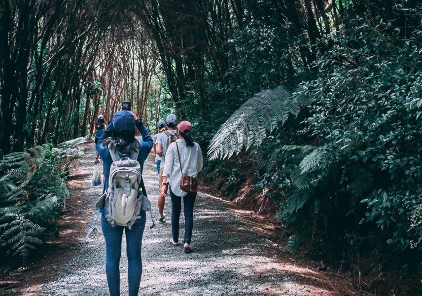 Почивка от социалните мрежи 3 Почивка от социалните мрежи 3