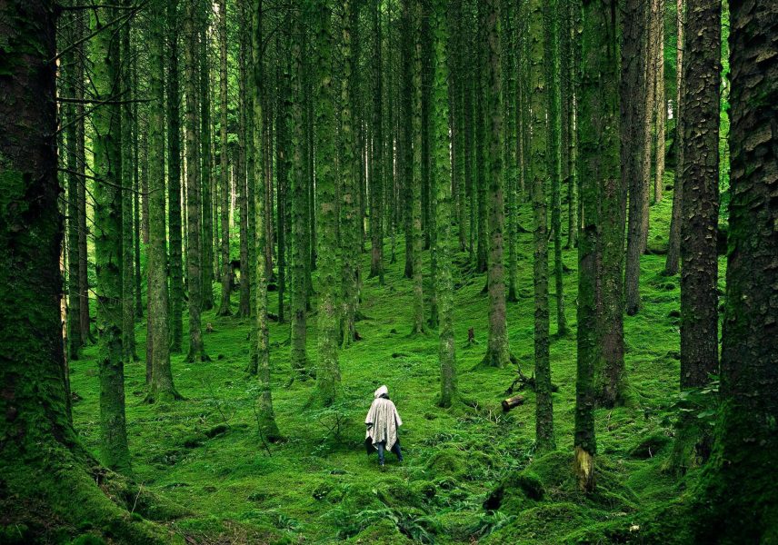 Съвети за здрава имунна система през зимата 10 Съвети за здрава имунна система през зимата 10