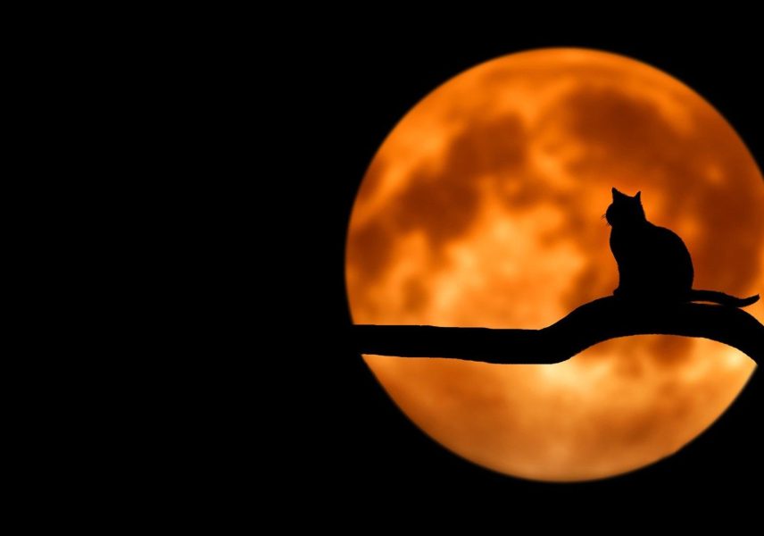 11 стъпки за справяне със сухата кожа през зимата 2 11 стъпки за справяне със сухата кожа през зимата 2