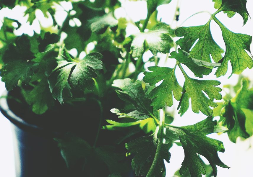 zadarzhane-na-voda-kak-da-se-spravim-5