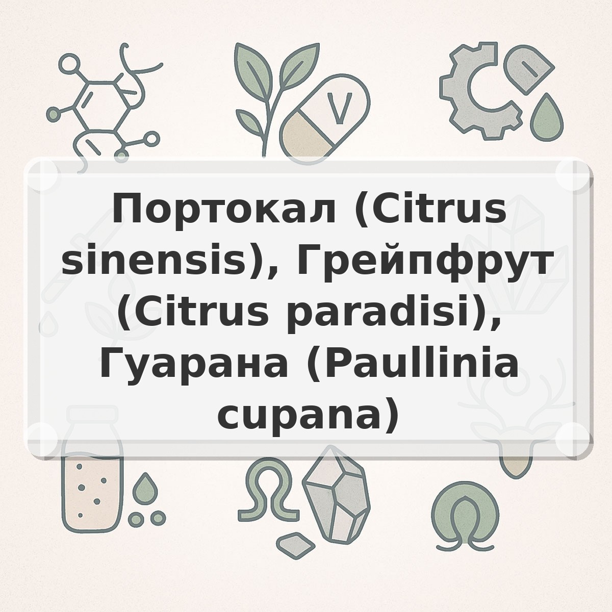Портокал (Citrus sinensis), Грейпфрут (Citrus paradisi), Гуарана (Paullinia cupana)