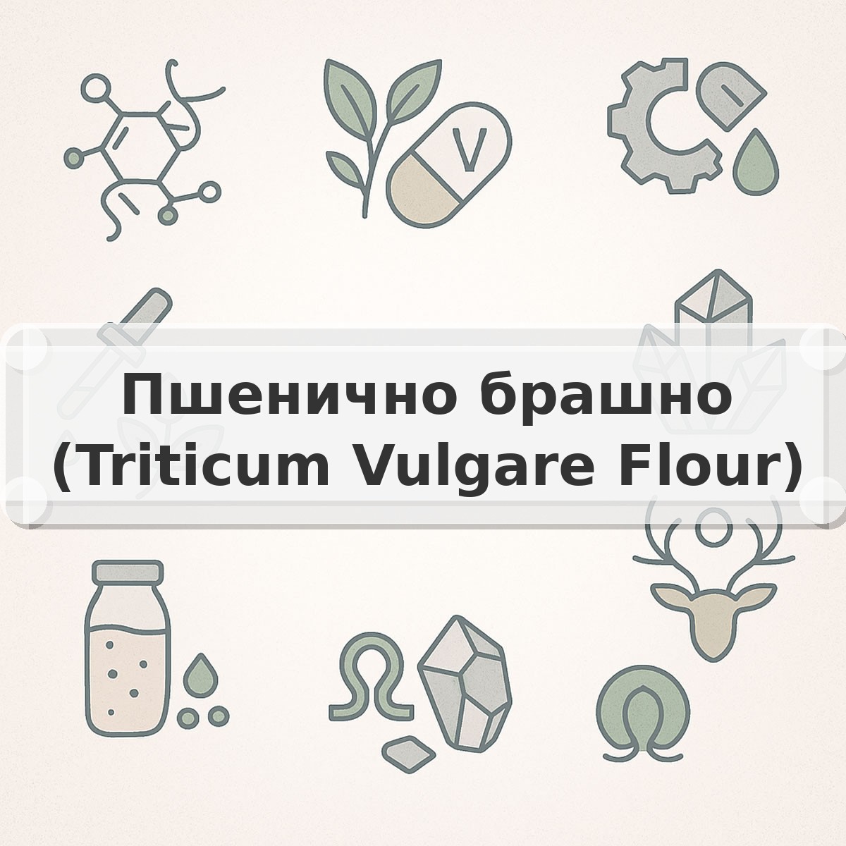 Пшенично брашно (Triticum Vulgare Flour)