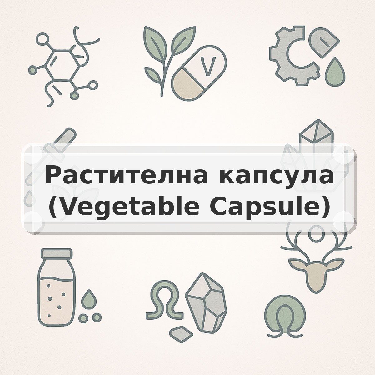 Растителна капсула (Vegetable Capsule)