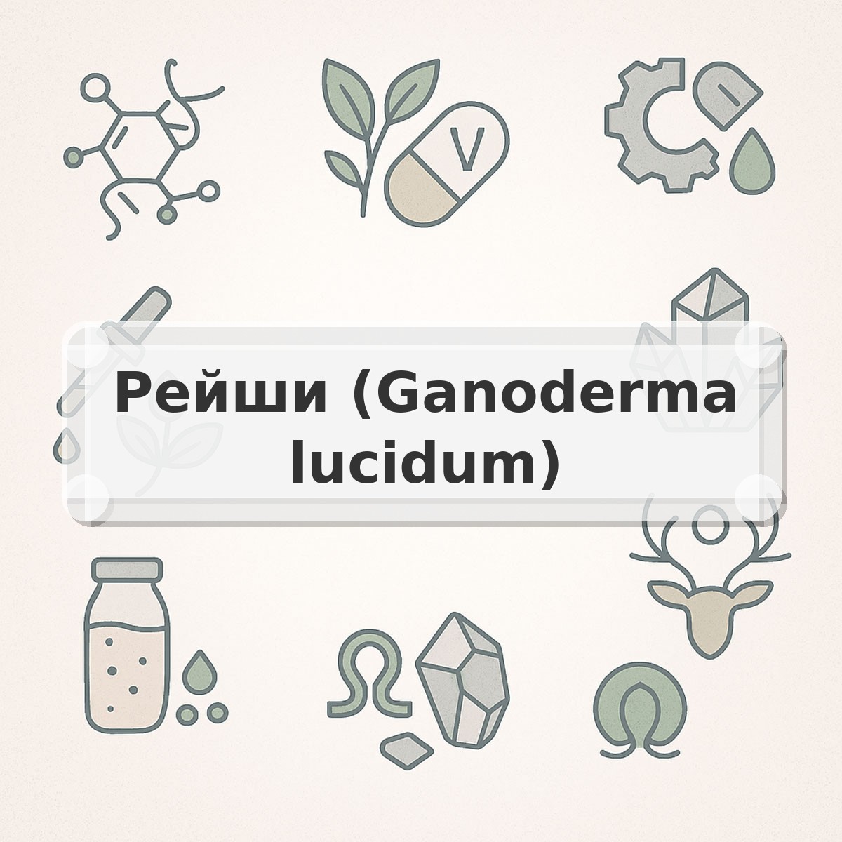 Рейши (Ganoderma lucidum)