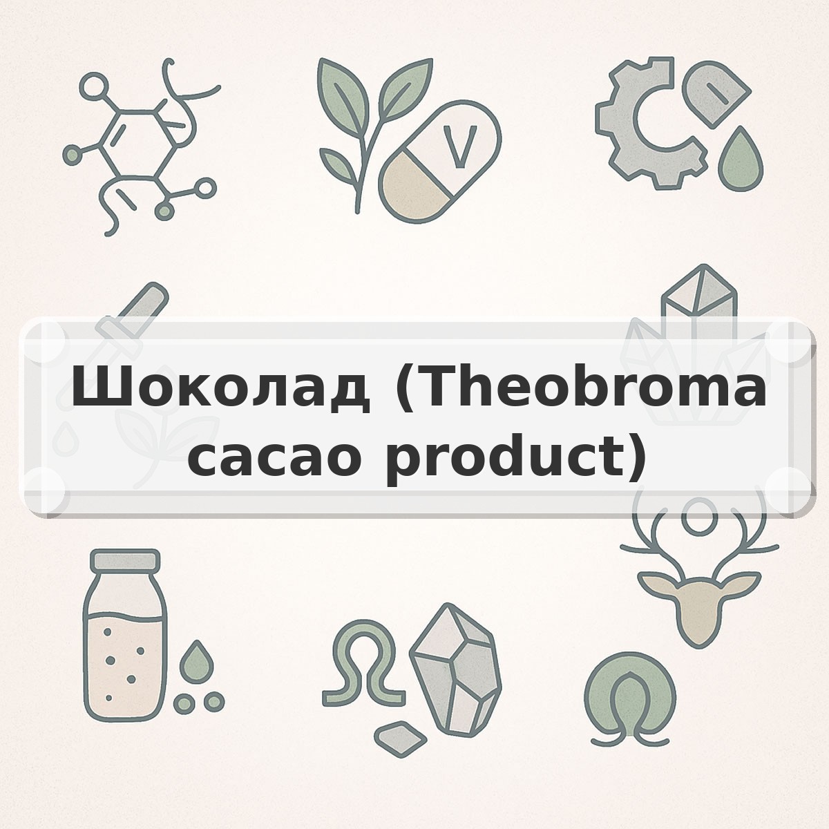 Шоколад (Theobroma cacao product)