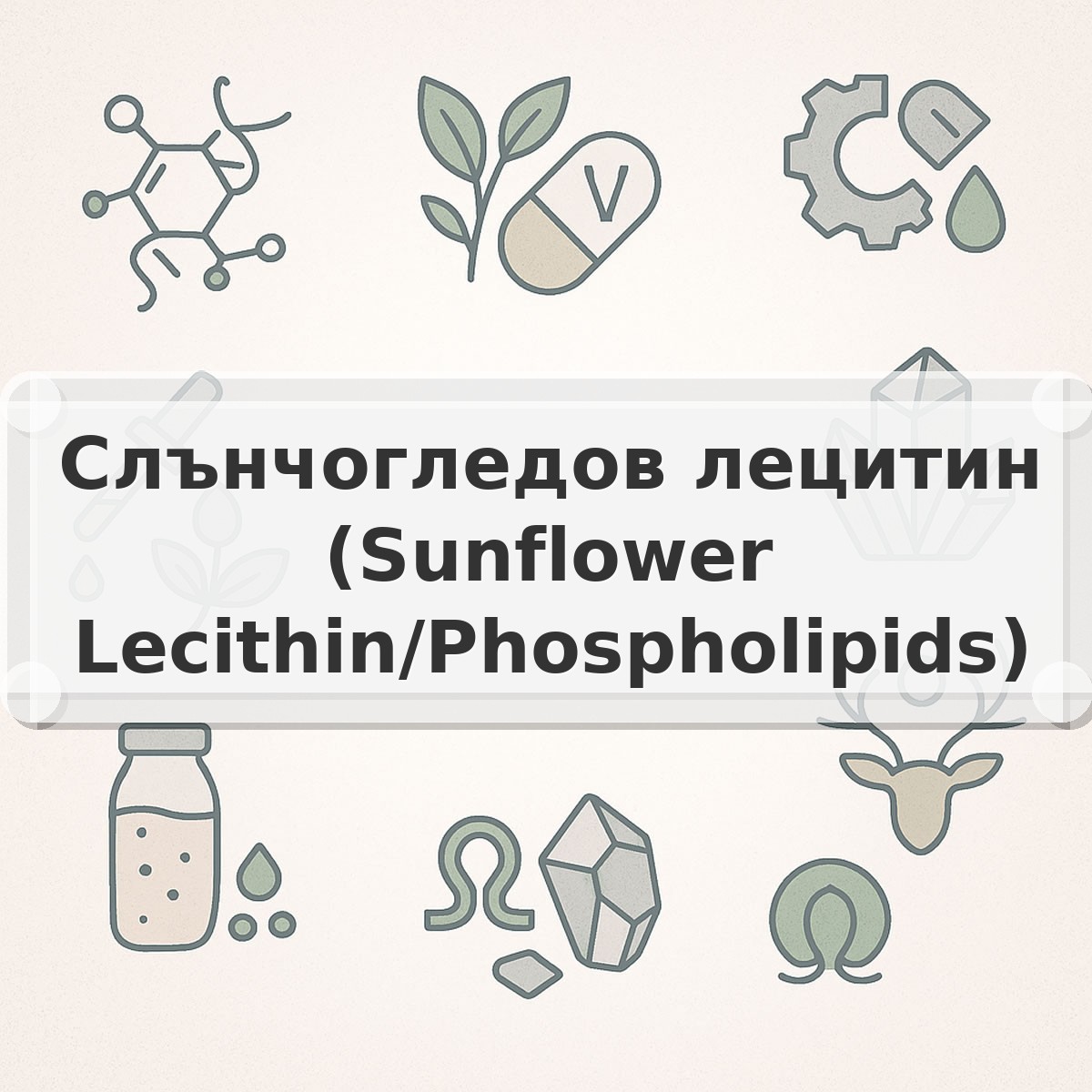 Слънчогледов лецитин (Sunflower Lecithin/Phospholipids)