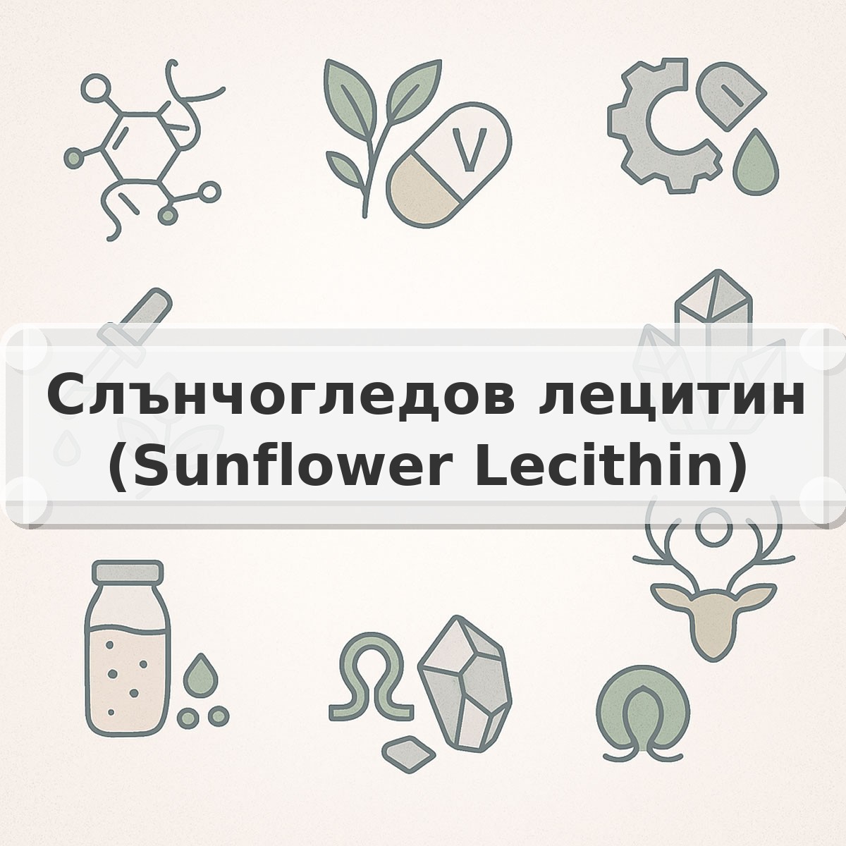 Слънчогледов лецитин (Sunflower Lecithin)
