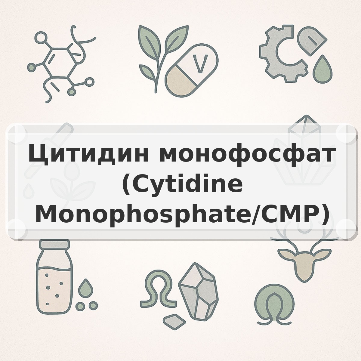 Цитидин монофосфат (Cytidine Monophosphate/CMP)