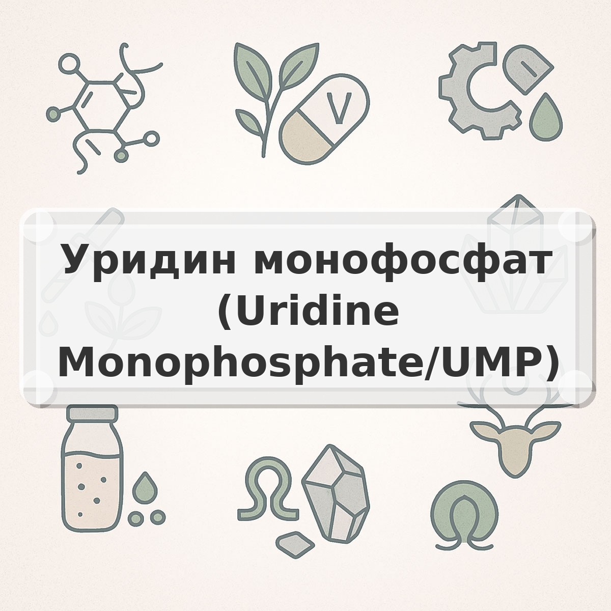 Уридин монофосфат (Uridine Monophosphate/UMP)