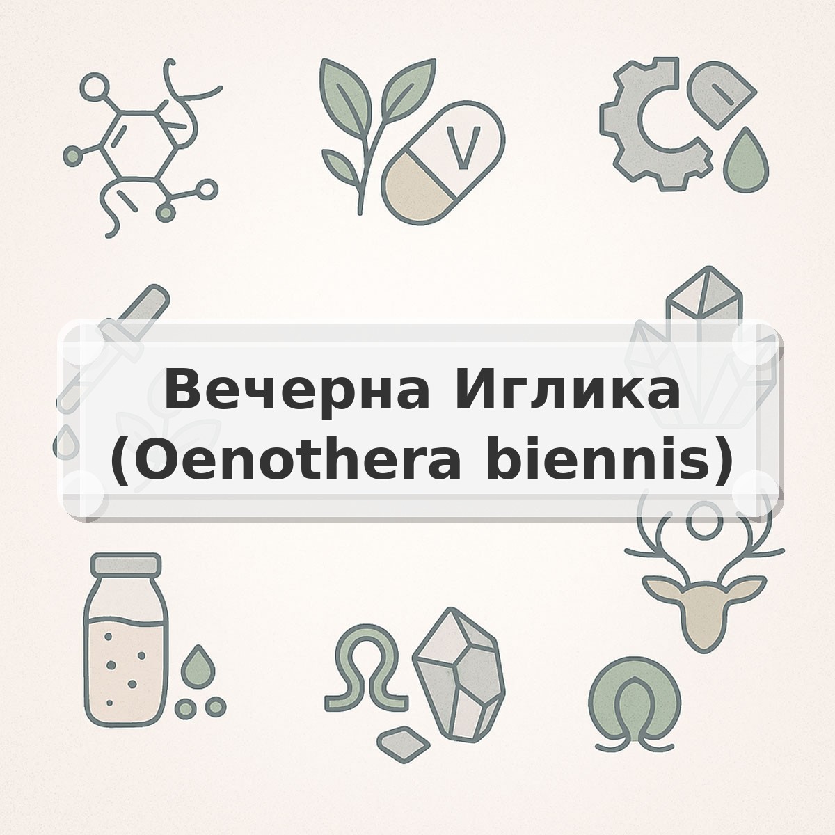 Вечерна Иглика (Oenothera biennis)