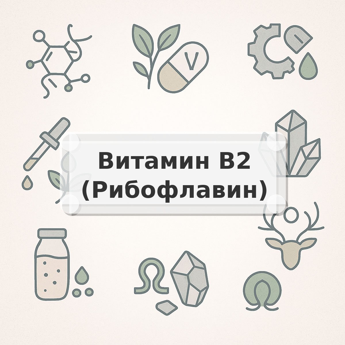 Витамин B2 (Рибофлавин)