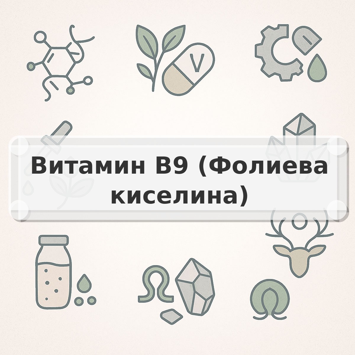 Витамин B9 (Фолиева киселина)