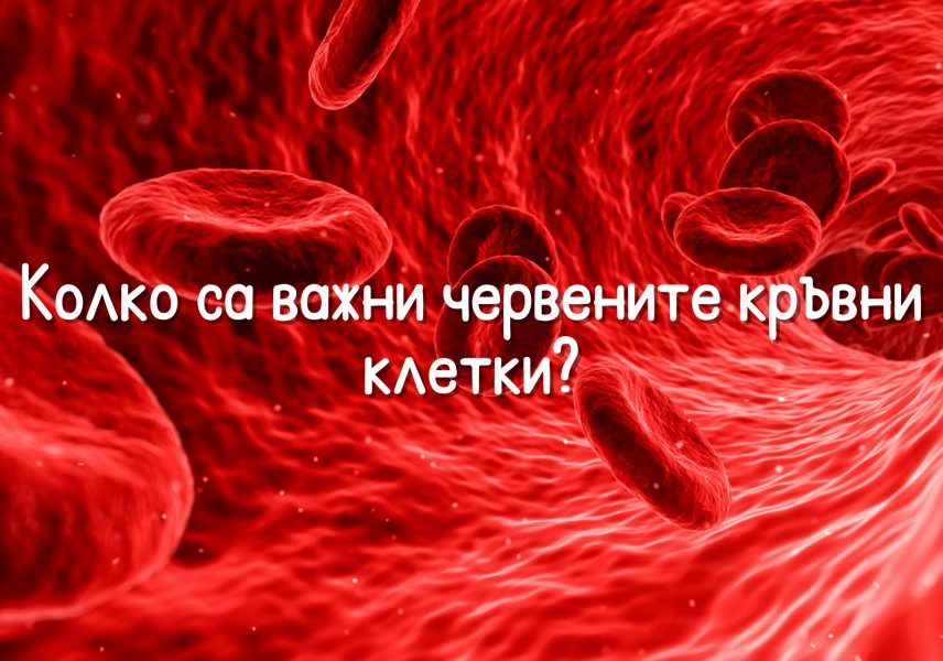 vsichko-koeto-tryabva da-znaete-za-anemiyata-zdravital