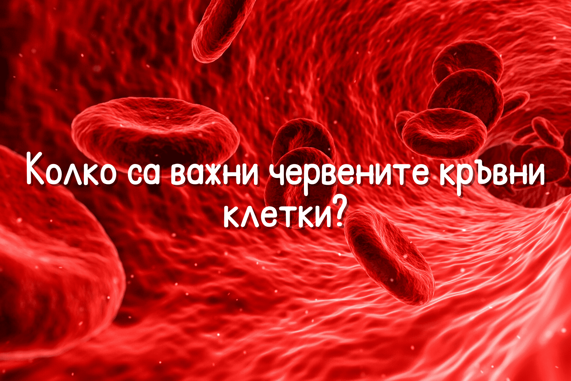 Всичко, което трябва да знаете за анемията