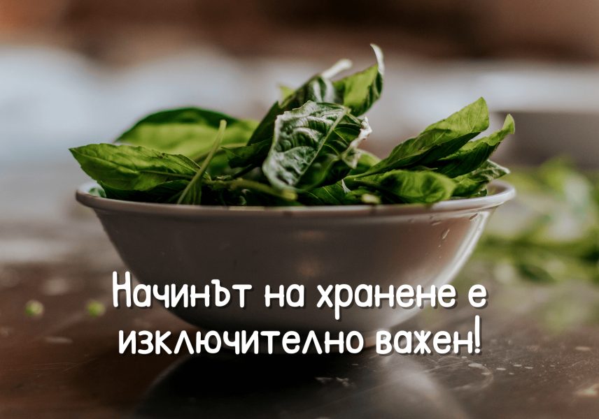 Всичко, което трябва да знаете за анемията