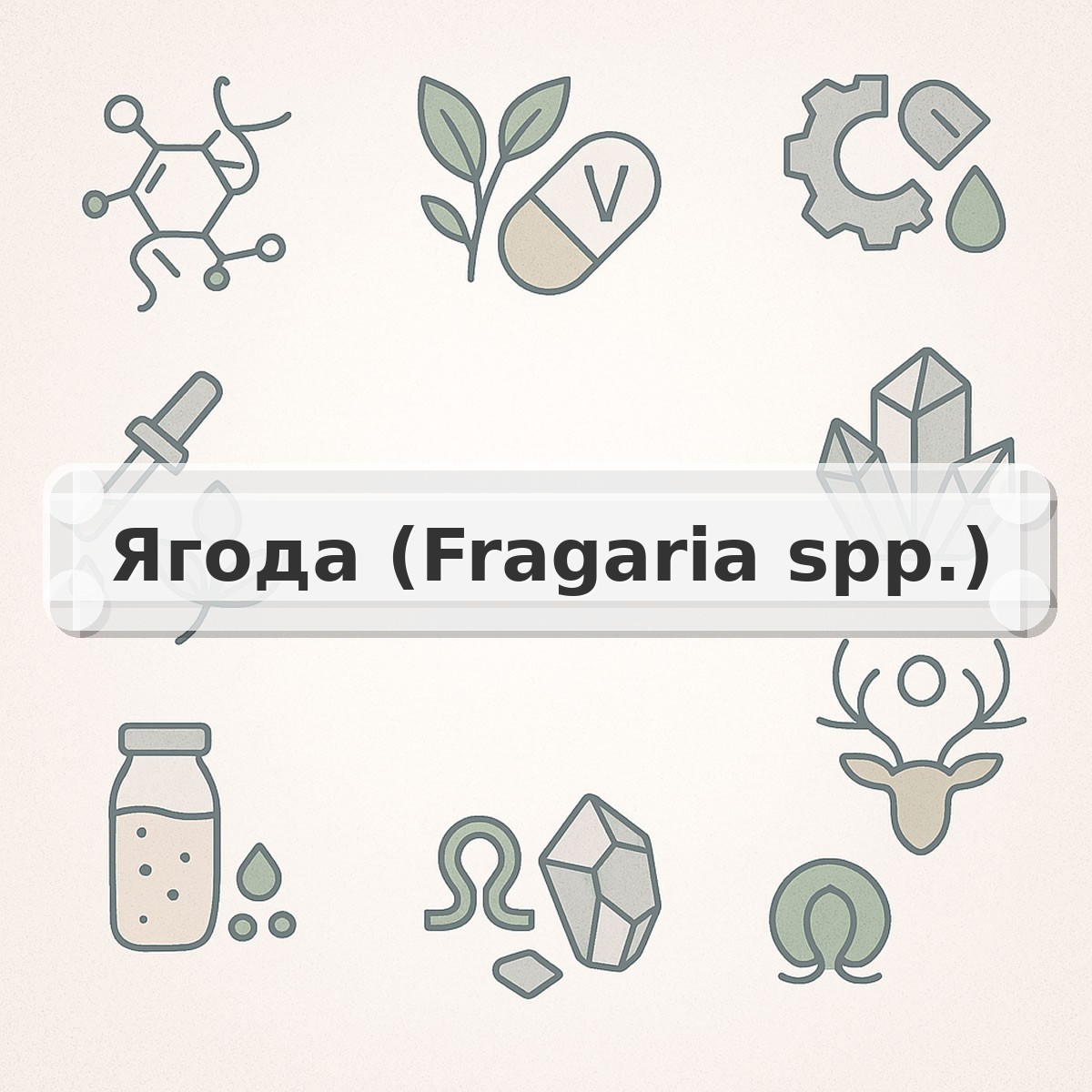 Ягода (Fragaria spp.)