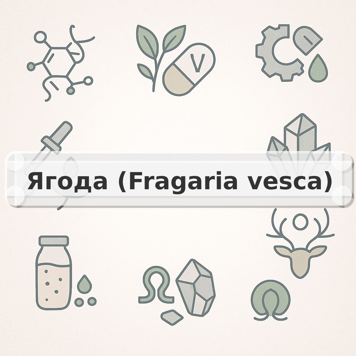 Ягода (Fragaria vesca)