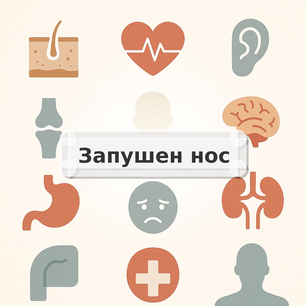 Запушен нос