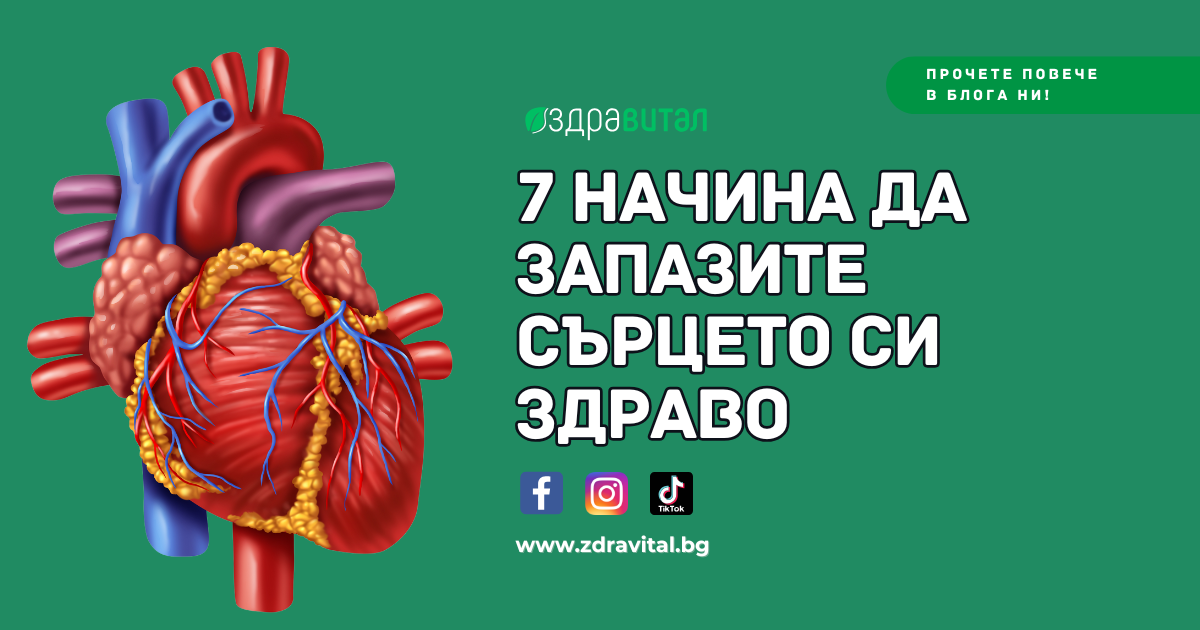 Здраво сърце: 7 начина да запазите сърцето си здраво