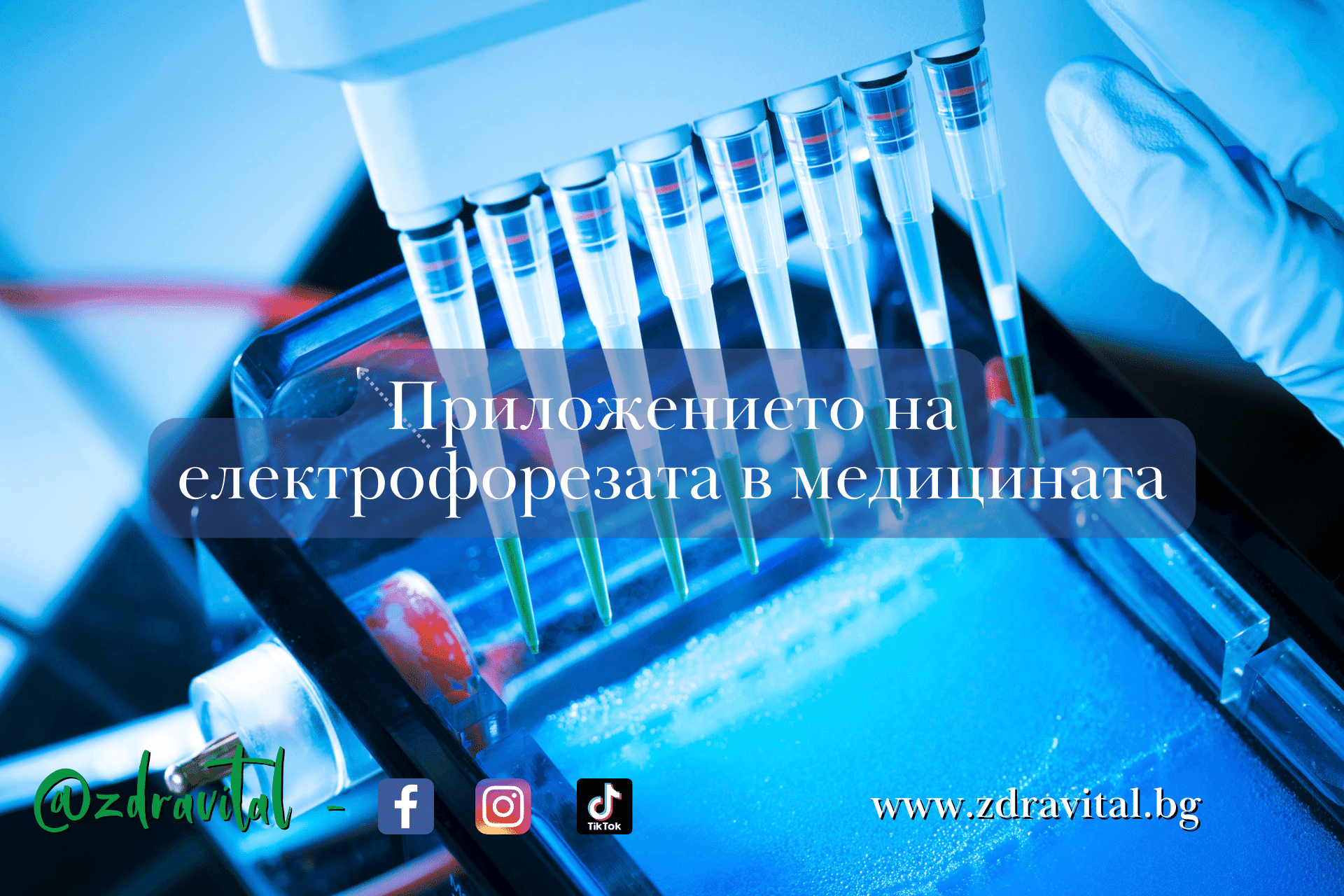 храни за енергия здравитал блог